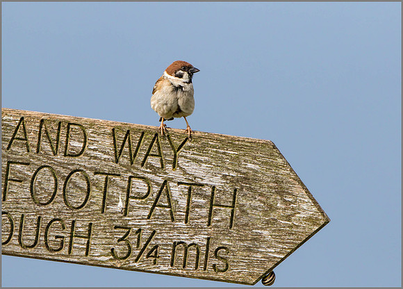 .......or this way?