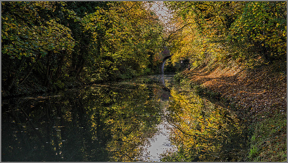 Droitwich Canal near Salwarpe, Worcestershire, November 2016