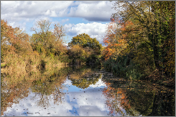Droitwich Canal near Salwarpe, Worcestershire, November 2016