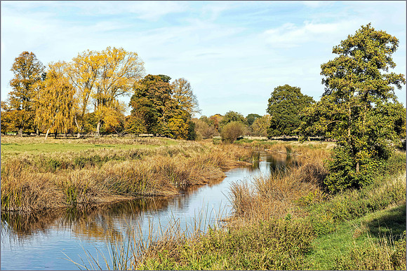 The River Avon, Charlecote Park, November 2016