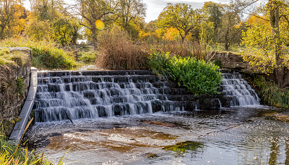 Charlecote Park, November 2016