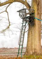 Deer Hunters Stand, Charlecote Park, December 2016__2768_DT