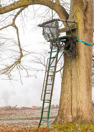 Deer Hunters Stand, Charlecote Park, December 2016__2768_DT
