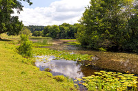 Berrington Hall Lake, Herefordshire, July 2017