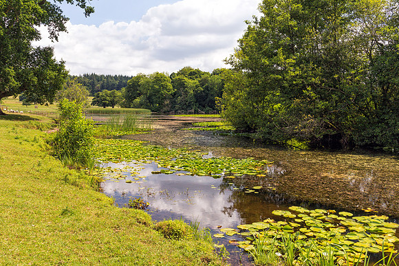Berrington Hall Lake, Herefordshire, July 2017